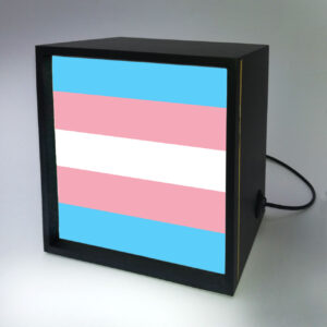 Luminária Backlight – Bandeira Trans…