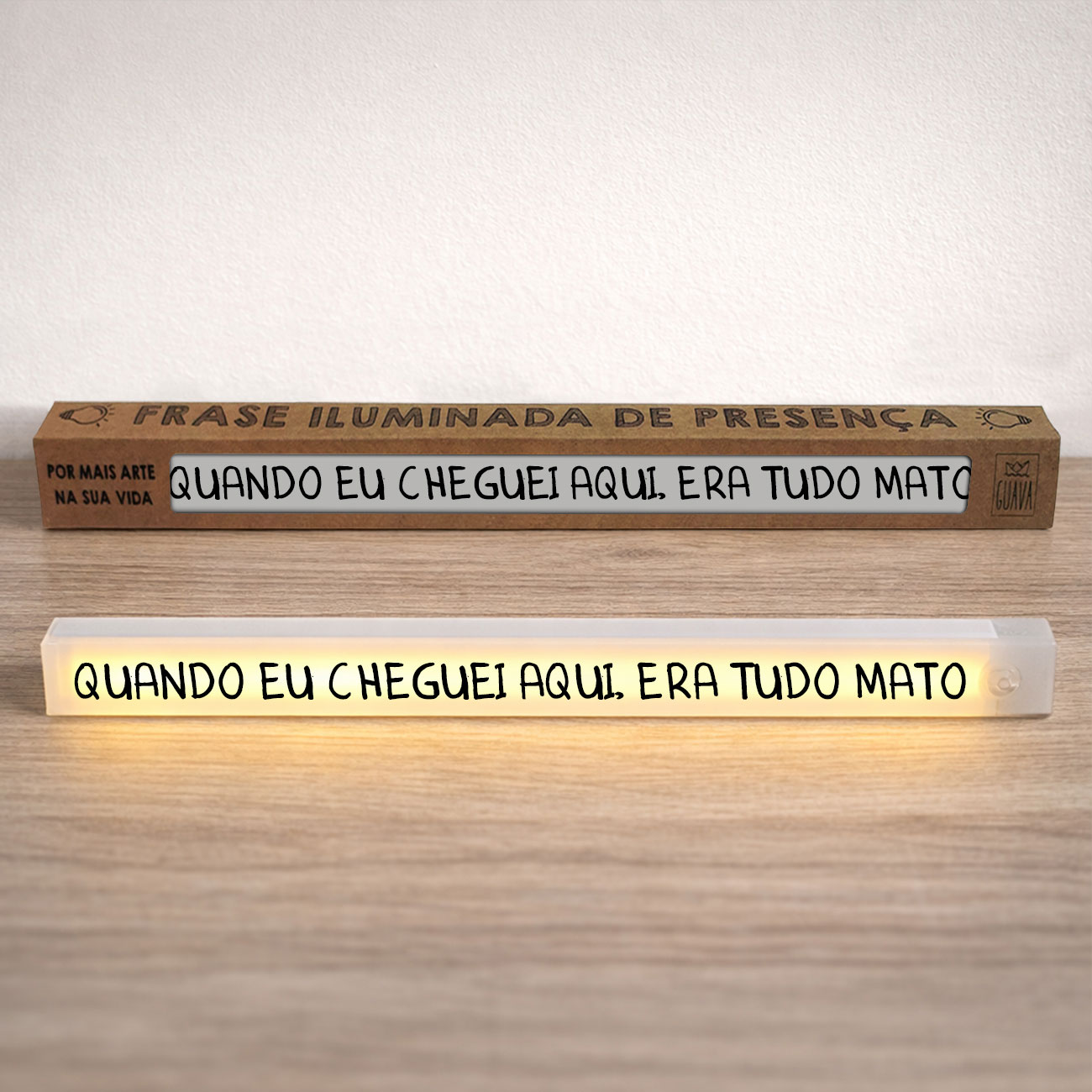 Frase-56-0 Luminária